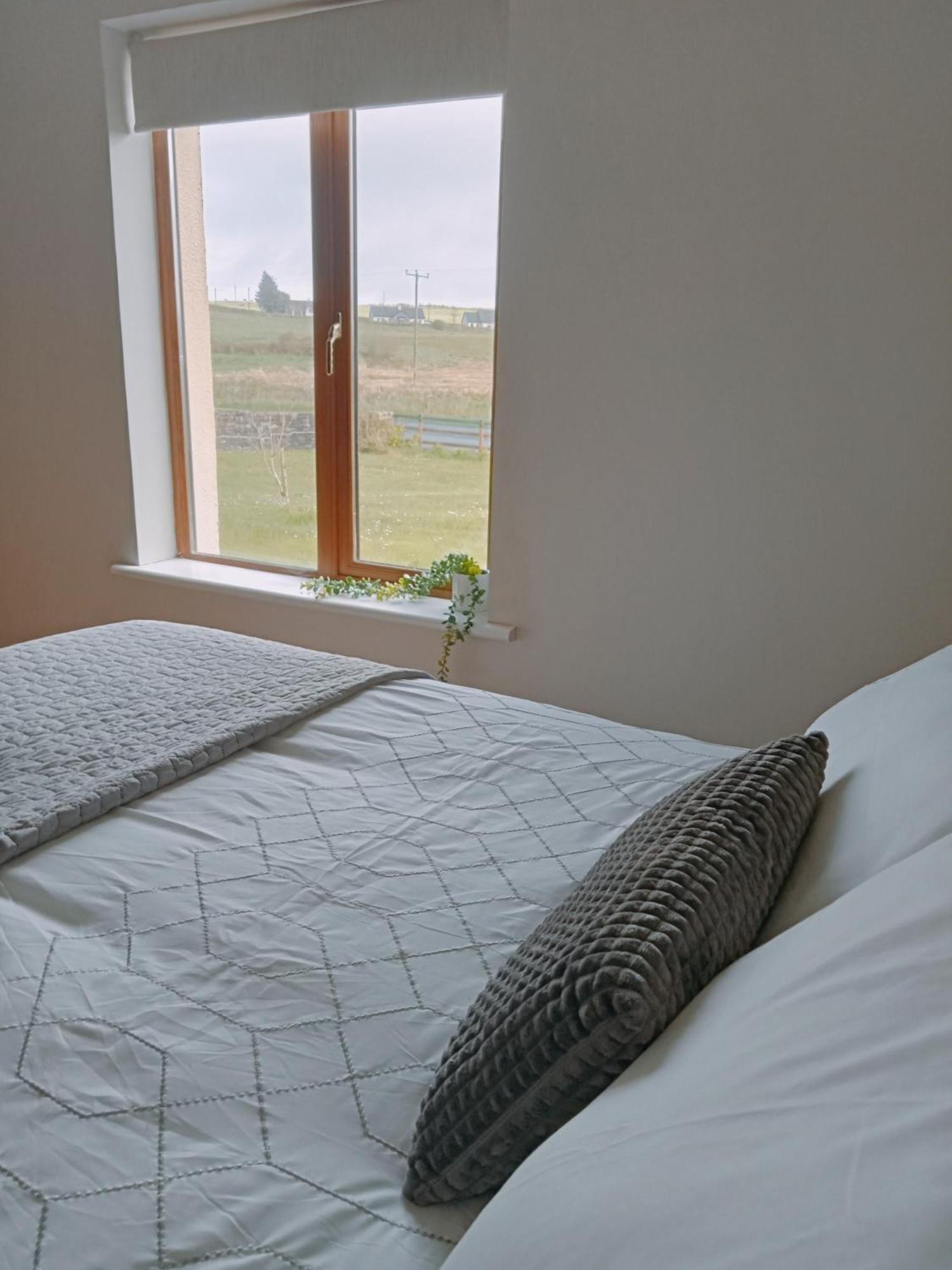 This Is It - Along The Coast Foghill Extérieur photo